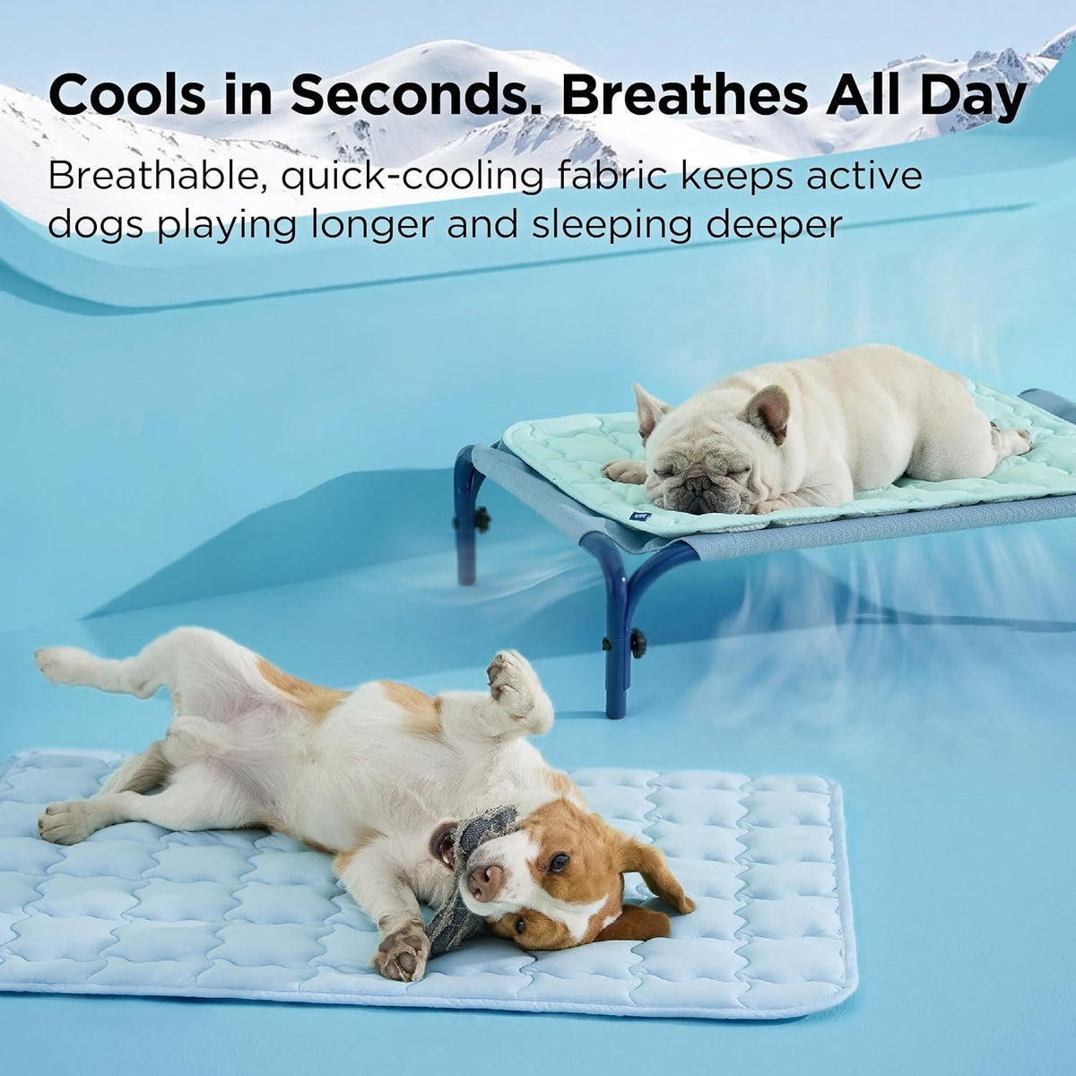 Bedsure ArcticMax™ Alfombrilla de enfriamiento para perros grandes