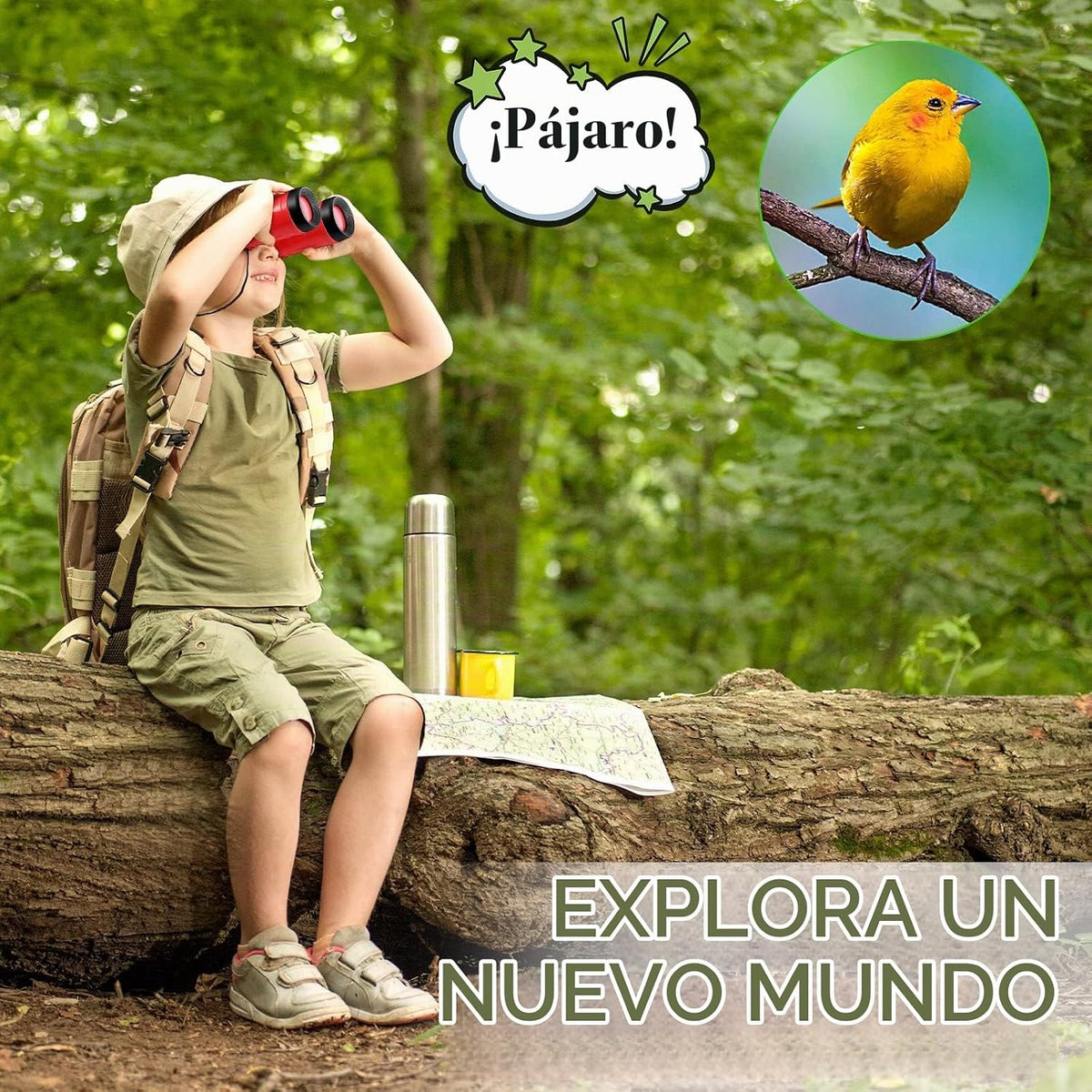 Paquete de 25 prismáticos para niños con brújula de colores surtidos