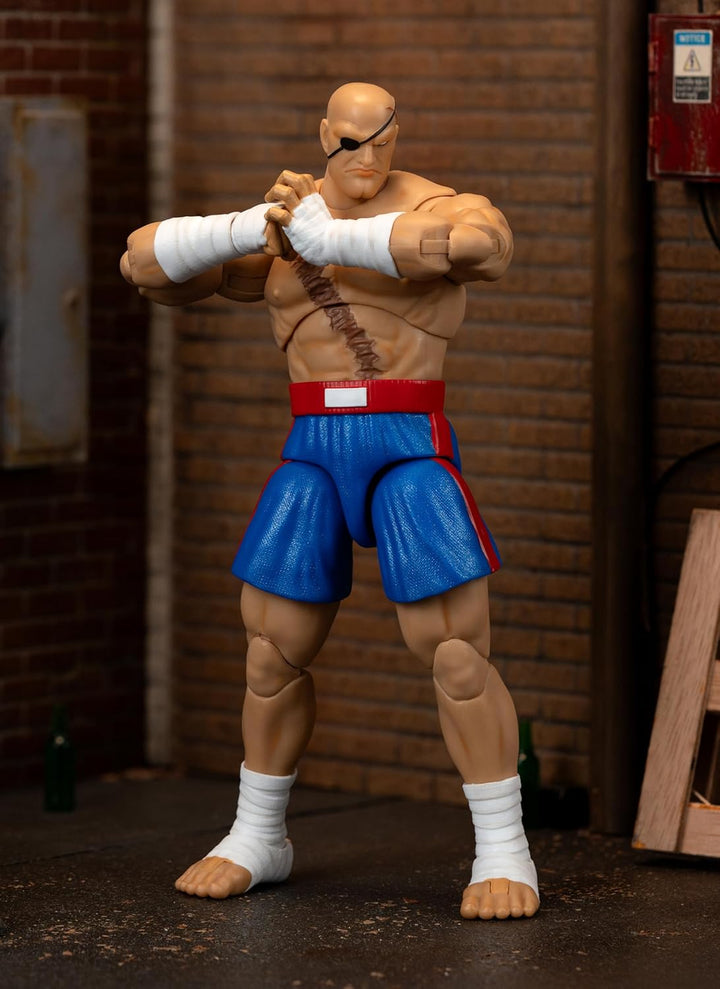 Jada Street Fighter II Sagat Deluxe - Figura de acción a escala 1:1...