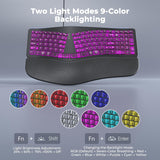 MEETION Teclado ergonómico con cable, retroiluminación transparente...
