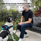 ShawnCo Arnés esencial para perro, chaleco sin tirones para mascotas con 3 clips de correa, sin estrangulamiento, reflectante, ajustable y acolchado, para caminar y entrenar fácilmente para perros