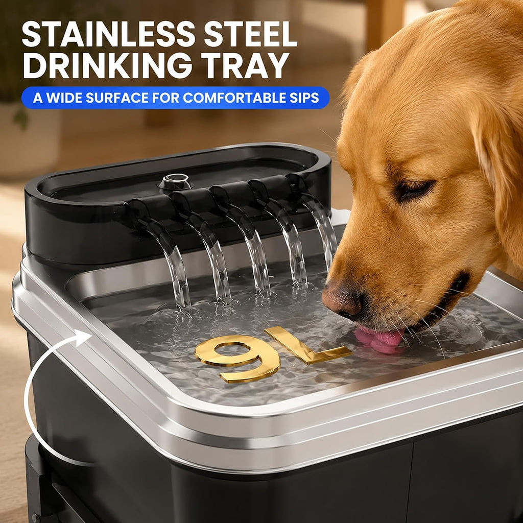 RPZ Fuente de agua elevada para perros de 9L con filtro para perros