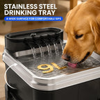 RPZ Fuente de agua elevada para perros de 9L con filtro para perros