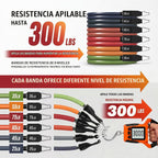 WHATAFIT Bandas de resistencia, bandas de ejercicio de 5 niveles con asas
