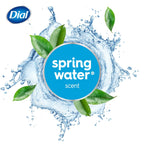 Dial Jabón de barra antibacteriana, agua de resorte, 32 bares.