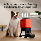Comedero automático para perros de 14 litros para razas grandes, capacidad extragrande, antibloqueo, dispensador automático de alimentos para perros, fuente de alimentación doble, cuenco de acero