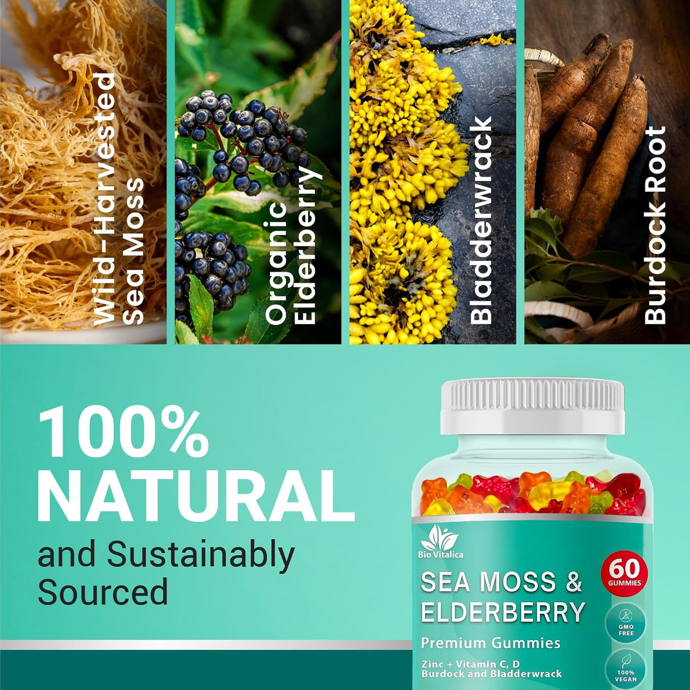 BIO VITALICA Gomitas de musgo marino con saúco BioVitalica - Vitami...