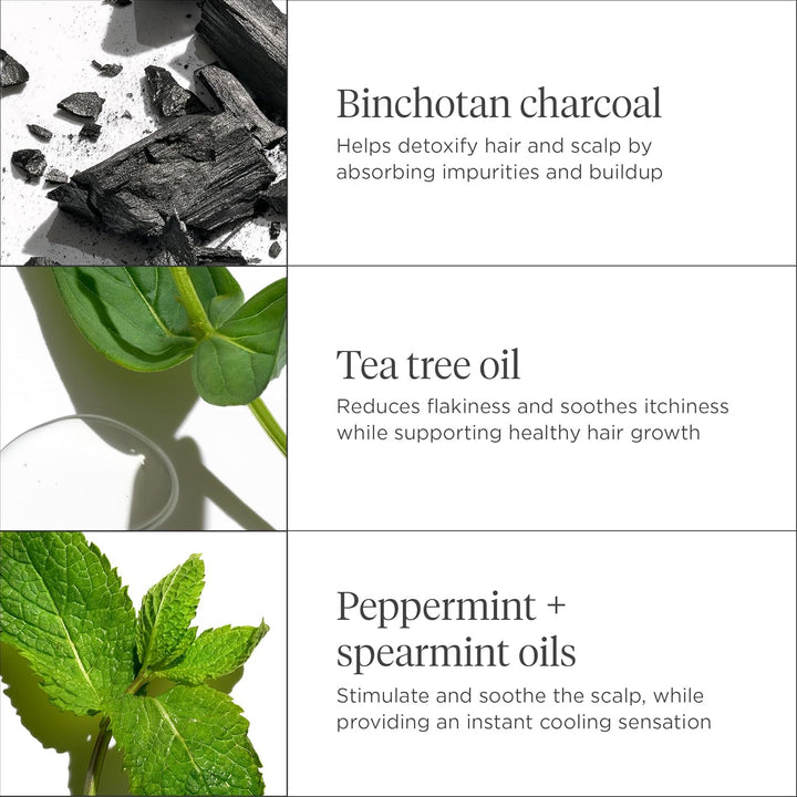 Briogeo Scalp Revival Charcoal + Tea Tree - Mascarilla refrescante...