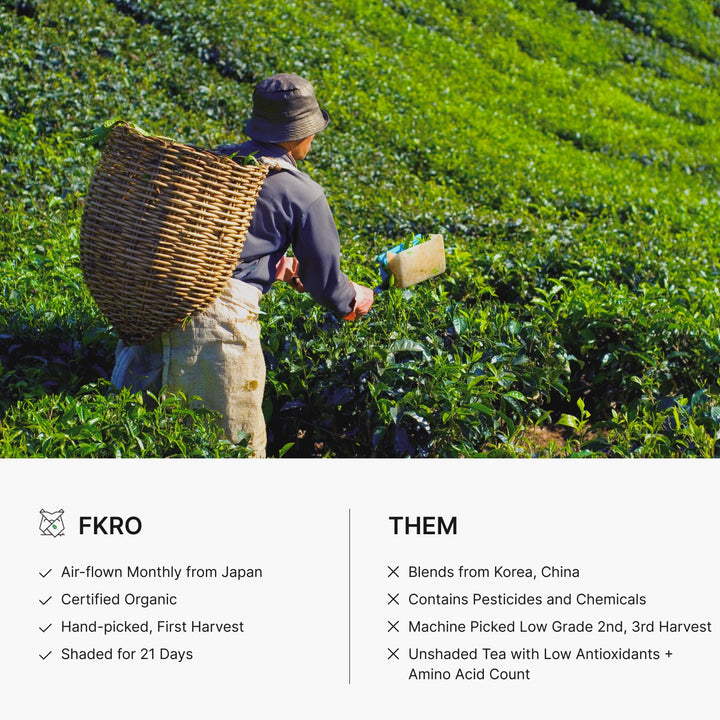 FKRO Té verde Matcha orgánico de grado ceremonial Primera