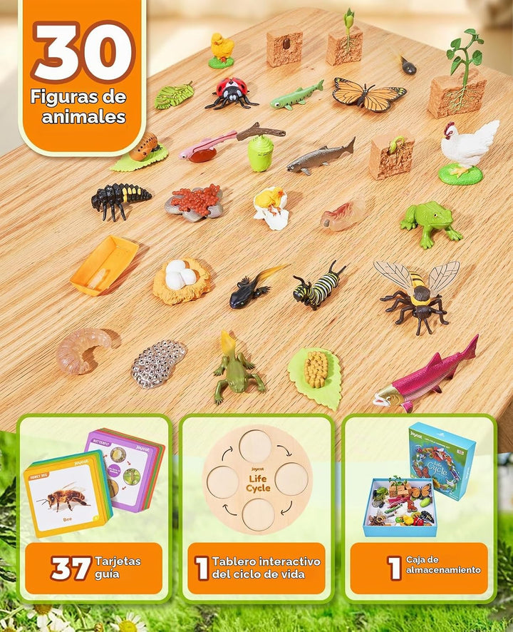 JoyCat - Juguetes de ciclo de vida para niños, 7 juegos de animales...