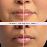 Burt's Bees Mantequilla labial de menta dulce, repara los labio...