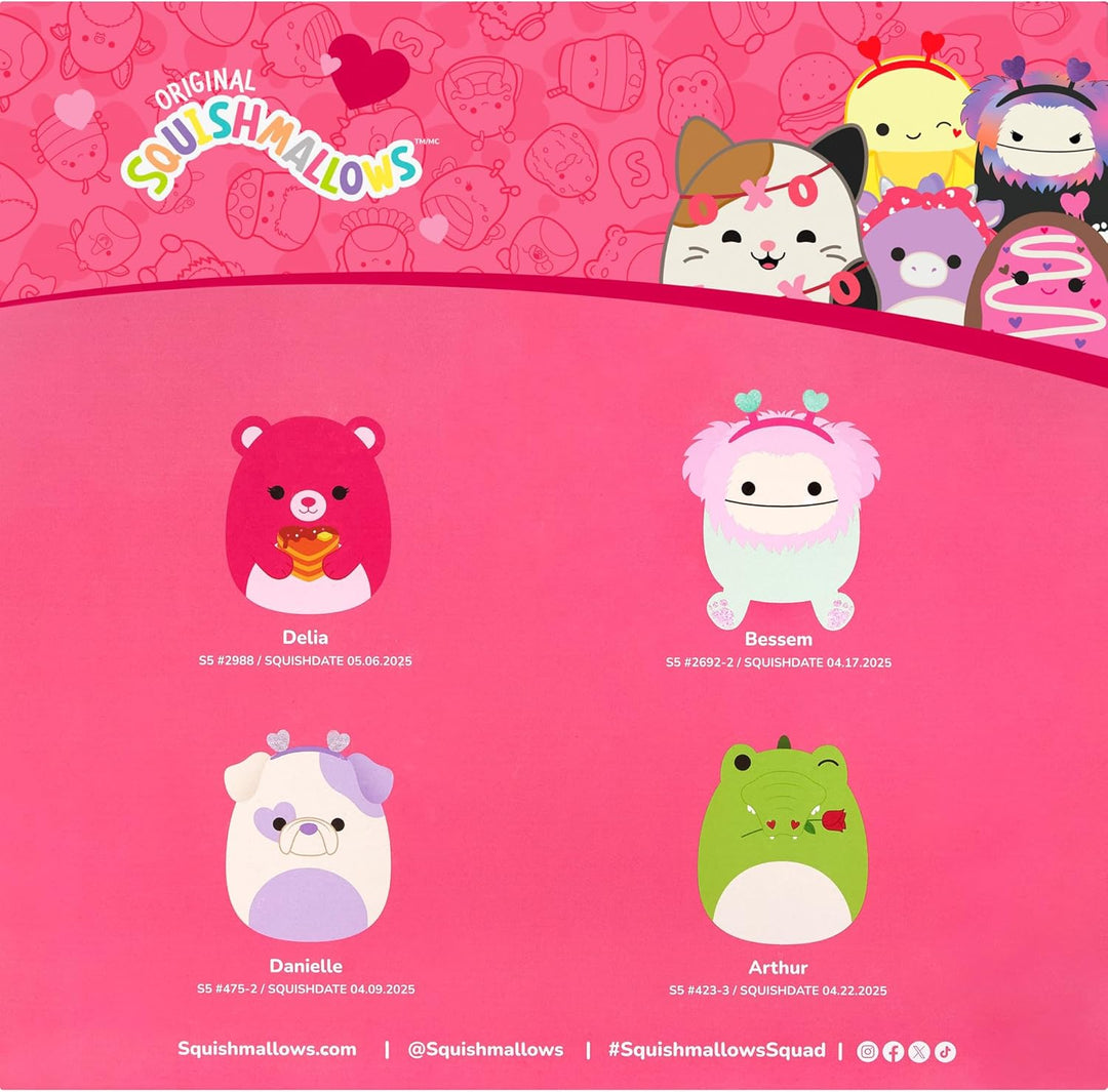 Squishmallows Paquete de 4 cajas de felpa oficiales de