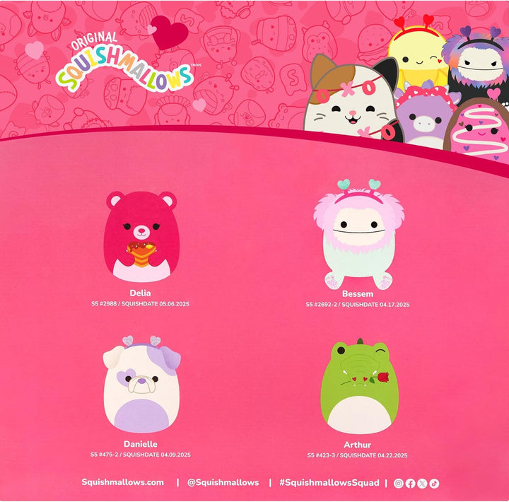 Squishmallows Paquete de 4 cajas de felpa oficiales de