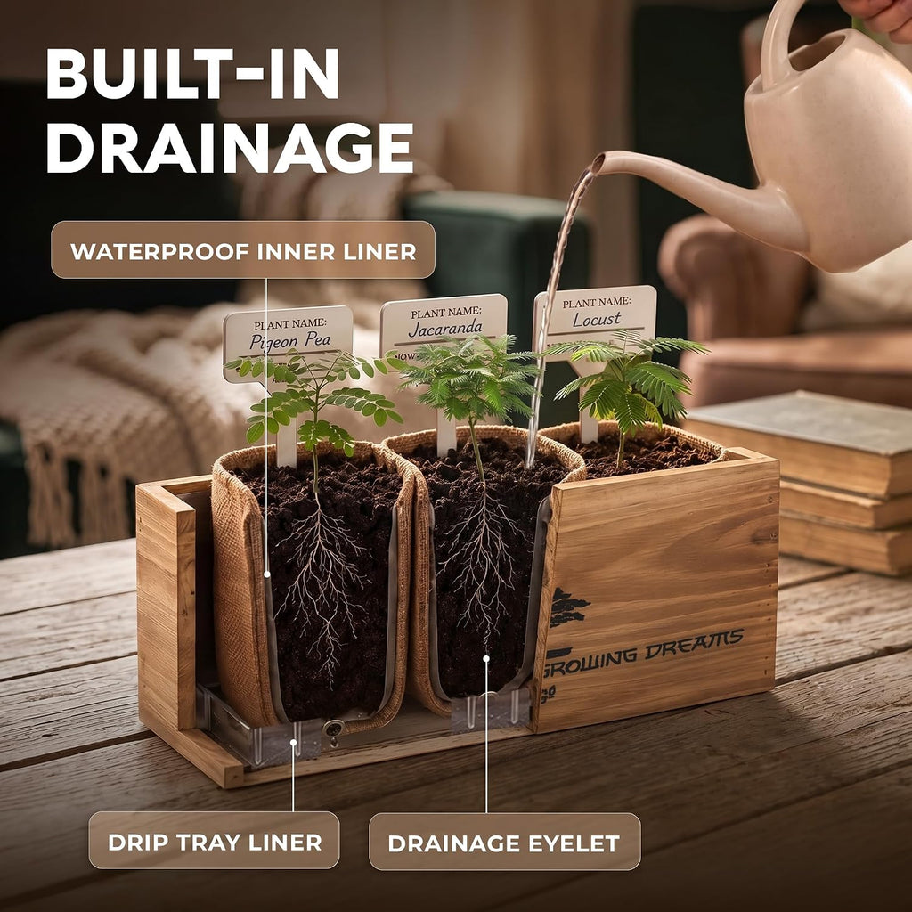 Bonsai Tree Kit Classic - Growing 3 Unique Japanese Bonzai Trees