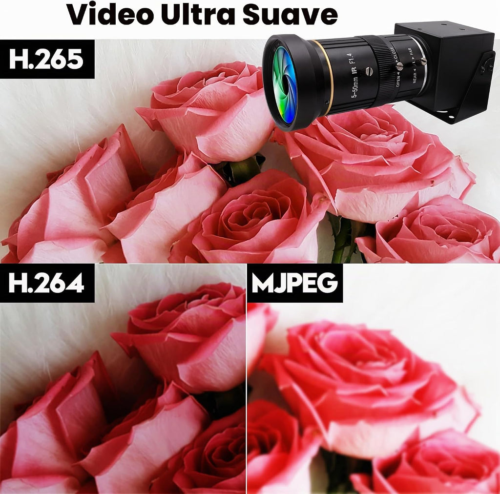 Cámara USB HDMI 4K para transmisión en vivo 10X enfoque variable PC Webcam USB HDMI Salida simultánea videoconferencia Primer plano Zoom dentro y fuera Cámara web para enseñanza en línea