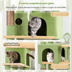 Globlazer Árbol de Gato de Cactus en Esquina de 66 Pulgadas, Torre de Escalada de Cactus de Varios Niveles, Condos para Gatitos, Torre de Rascado para Gatos de Interior para Múltiples Gatos con