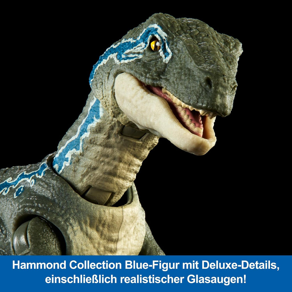 Mattel Jurassic World Hammond Collection - Figura de acción de dinosaurio, velociraptor 'azul' dinosaurio juguete con articulación