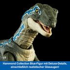 Mattel Jurassic World Hammond Collection - Figura de acción de dinosaurio, velociraptor 'azul' dinosaurio juguete con articulación