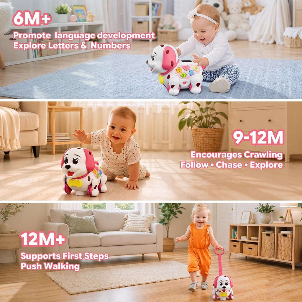 Juguete interactivo para cachorros de 1 a 2 años, regalo de primer