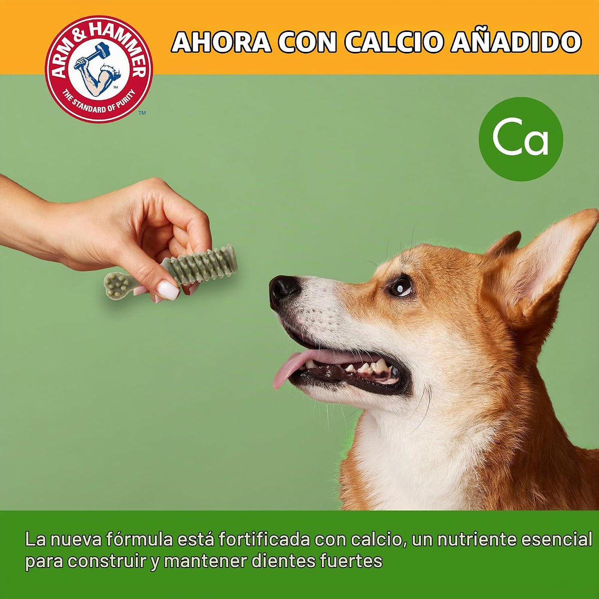 ARM & HAMMER Nubbies, golosinas dentales para perros, sabor menta