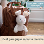 GUND Baby Peek--Boo Flora 7-Inch Bunny Squeeze-Activated Plush Toy