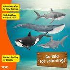 Schleich Wild Life - Juego de 4 animales oceánicos para niños a partir de 3