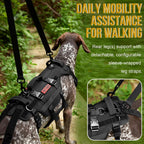 OneTigris Arnés de elevación para perros grandes, soporte de cadera para perros, elevador de cuerpo completo con asas Invictus Chaleco multifuncional de asistencia para movilidad para patas traseras