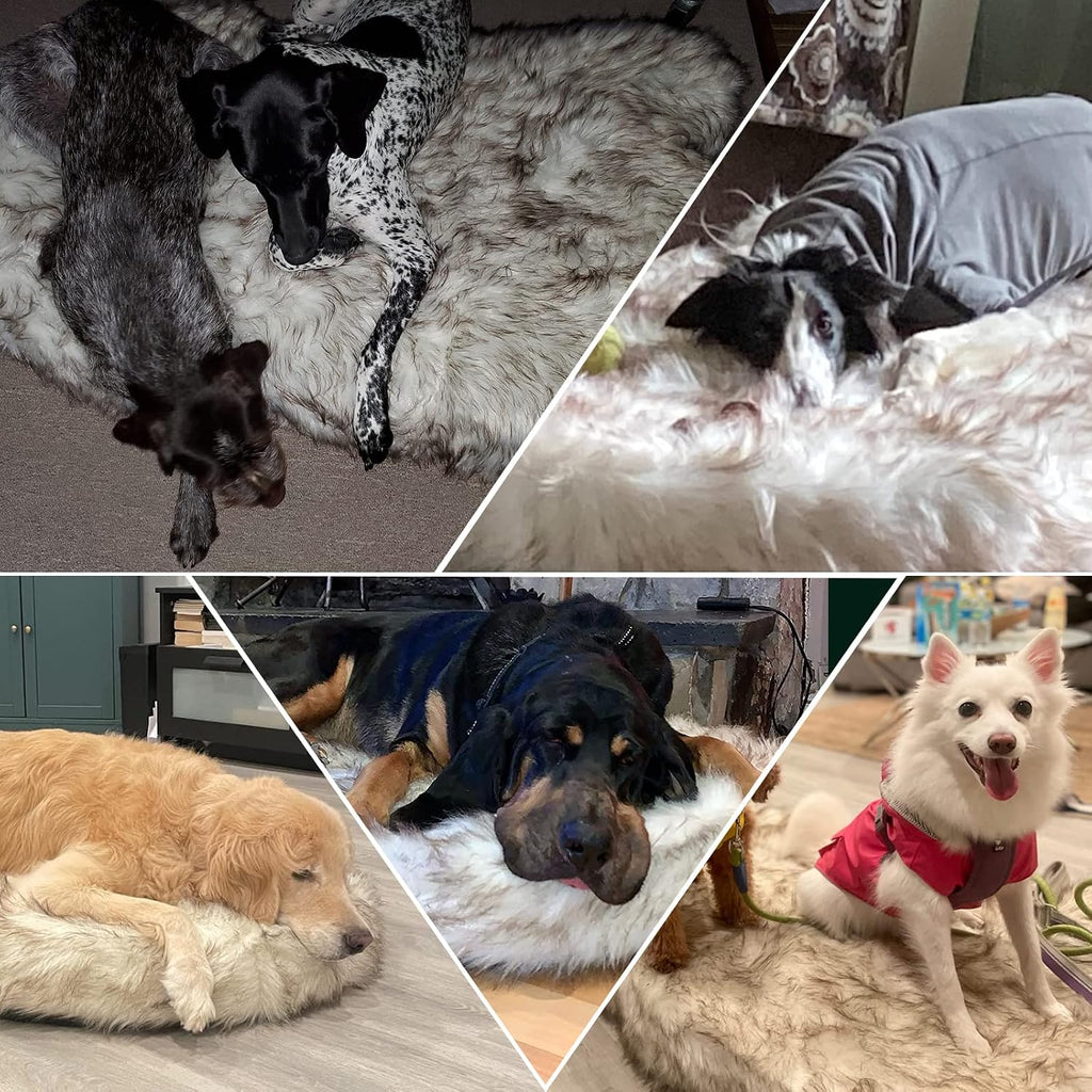 Laifug - Cama para perro de piel sintética de lujo, espuma viscoelástica de