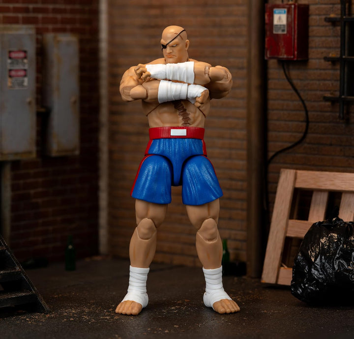 Jada Street Fighter II Sagat Deluxe - Figura de acción a escala 1:1...