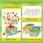 JoyCat Montessori - Caja de clasificación sensorial