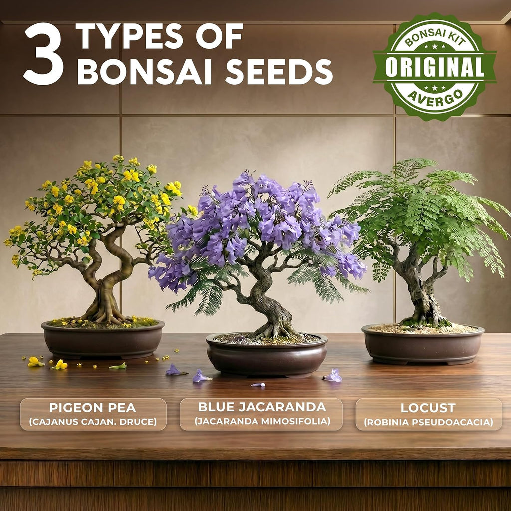 Bonsai Tree Kit Classic - Growing 3 Unique Japanese Bonzai Trees