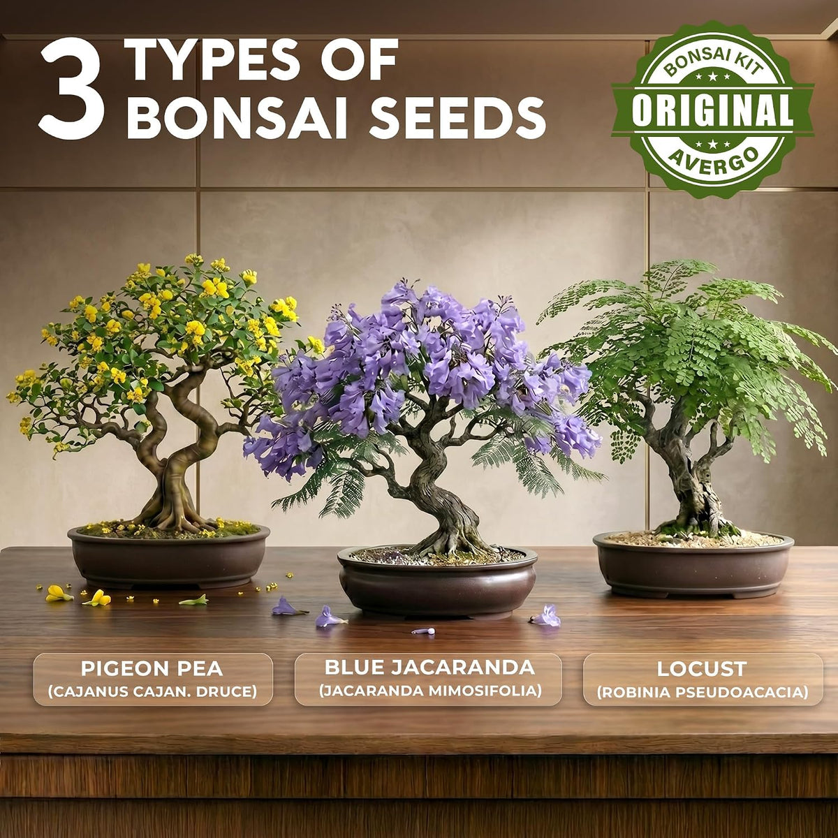 Bonsai Tree Kit Classic - Growing 3 Unique Japanese Bonzai Trees