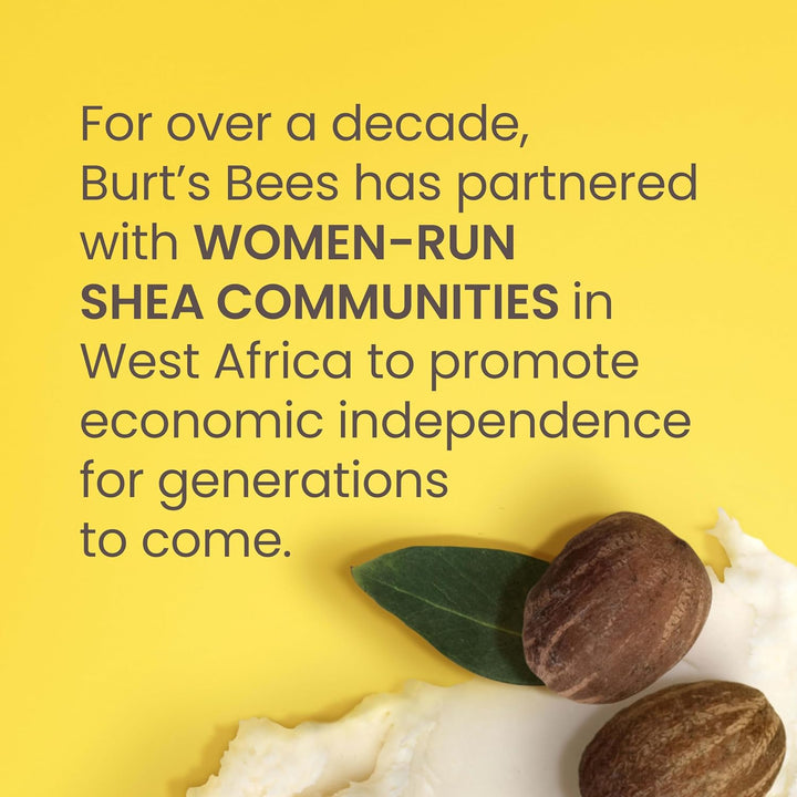 Burt's Bees Bálsamo labial hidratante de karité y aloe, hidrata...