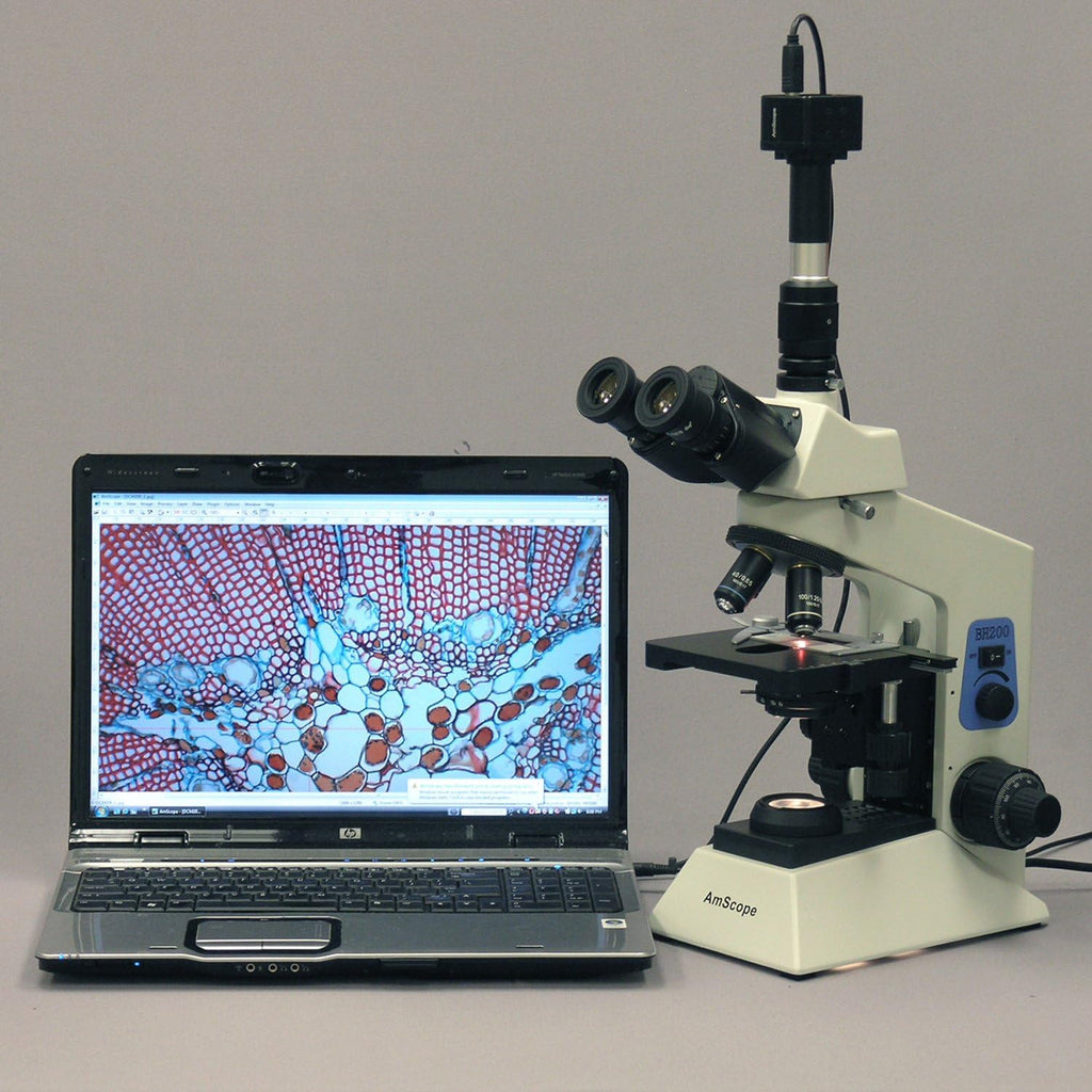 AmScope T580B-DK 2000X Profesional Darkfield Investigación Biológica