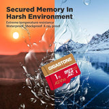 Recuperación de datos de 5 años: tarjeta micro SD de 1 TB GIGASTONE...