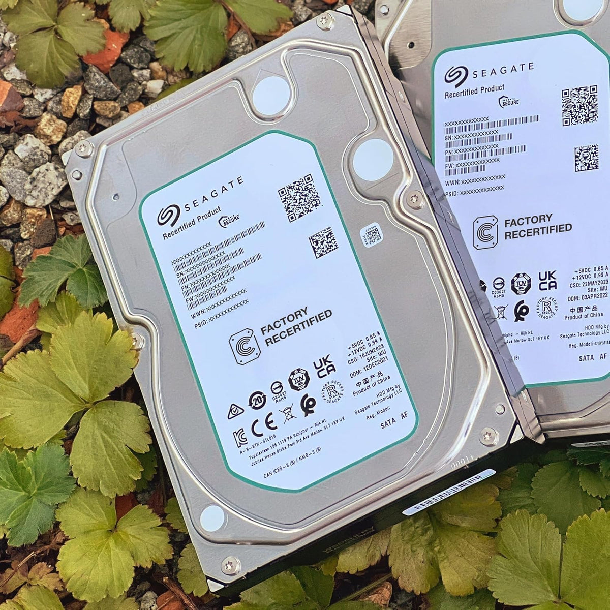 Seagate Exos X24 24TB Unidad de Disco Duro Empresarial HDD SATA 6Gb...