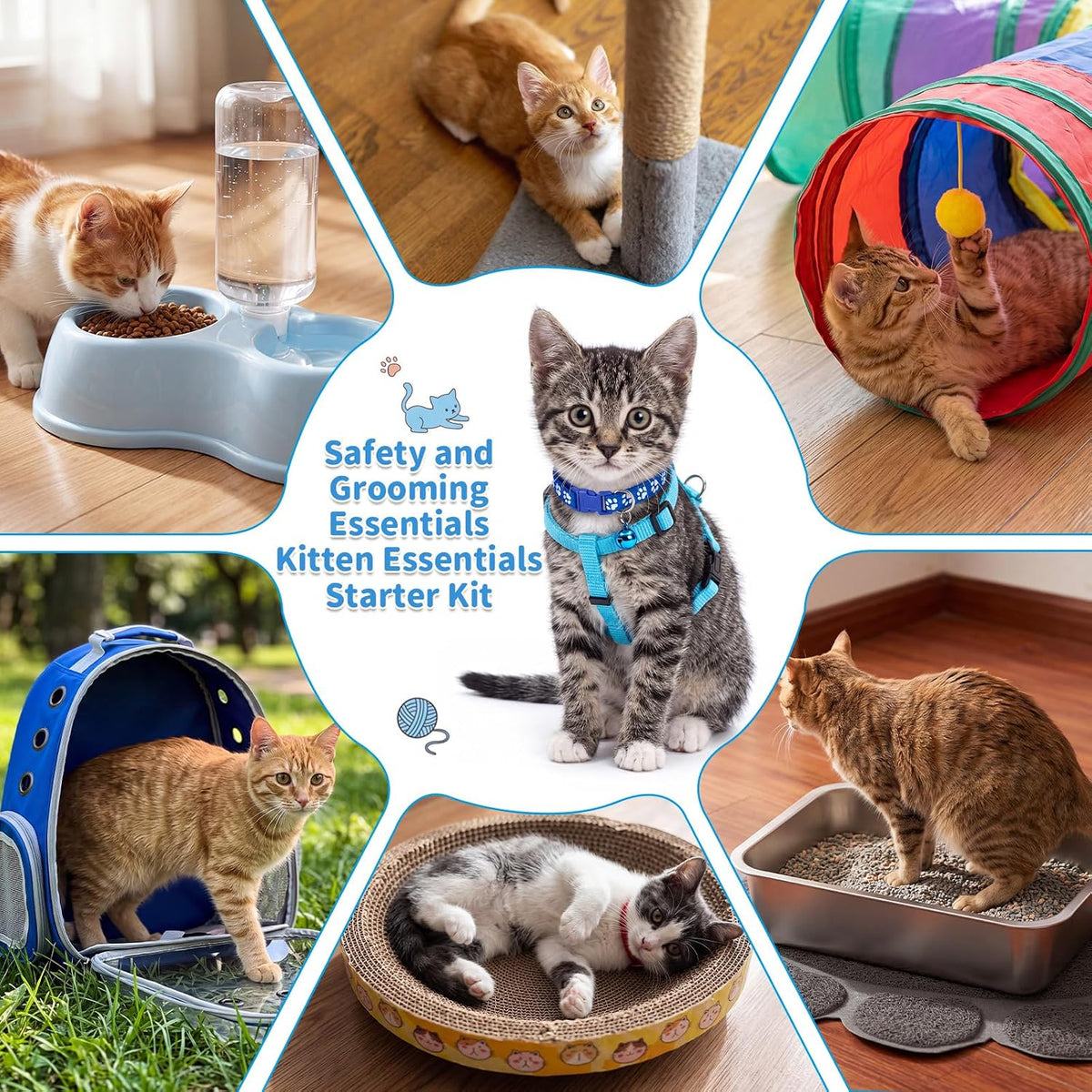 Kit de inicio de gatito de 31 piezas para interiores, color azul