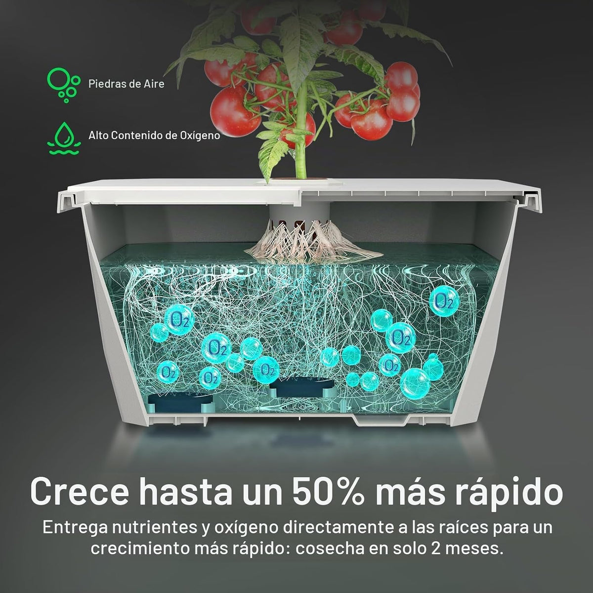 VIVOSUN Kit de sistema hidropónico DWC FlexFeed, kit de cultivo de aguas