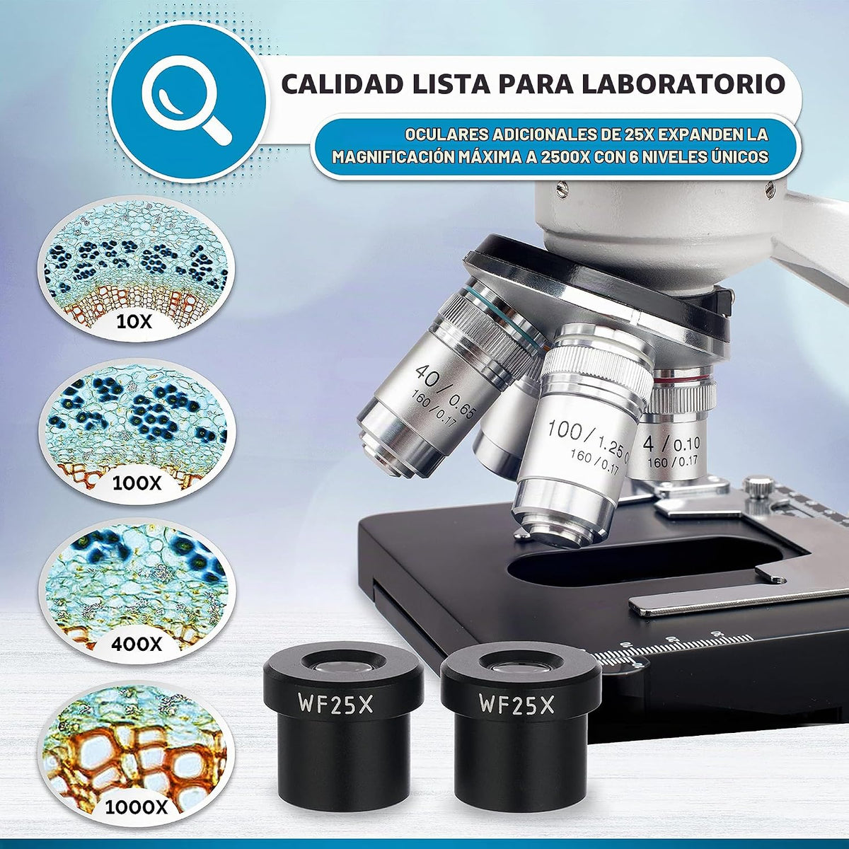 AmScope B120C Siedentopf microscopio binocular compuesto, aumento de 40X-2000X, iluminación LED, condensador Abbe, plataforma mecánica de doble capa.