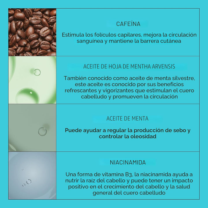 NIOXIN Kits de sistema de engrosamiento del cuero cabelludo + cabel...