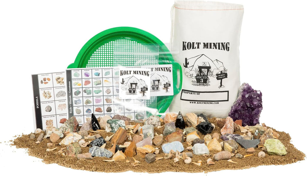 Kit de geología para adultos: rocas, minerales, fósiles, cristales y dientes de tiburón