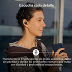 Sennheiser Momentum True Wireless 5 - Auriculares Bluetooth (grafito)