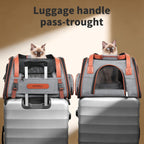 Transportador de mascotas prémium para gatos, bolso de transporte con