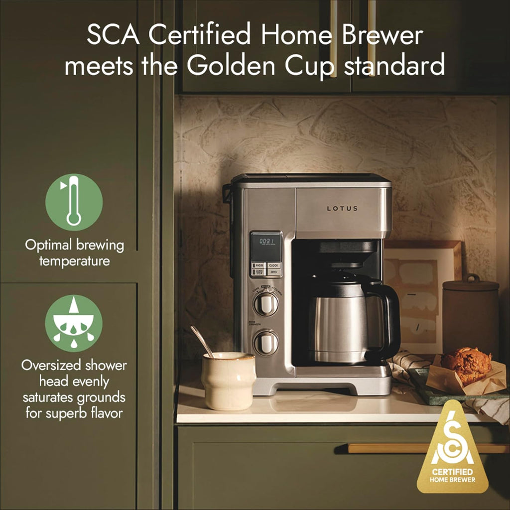 Lotus Cafetera con escala molida, cafetera programable de 10 tazas, The Top Drip, 1500 vatios, acero inoxidable, serie profesional, LTSCM500