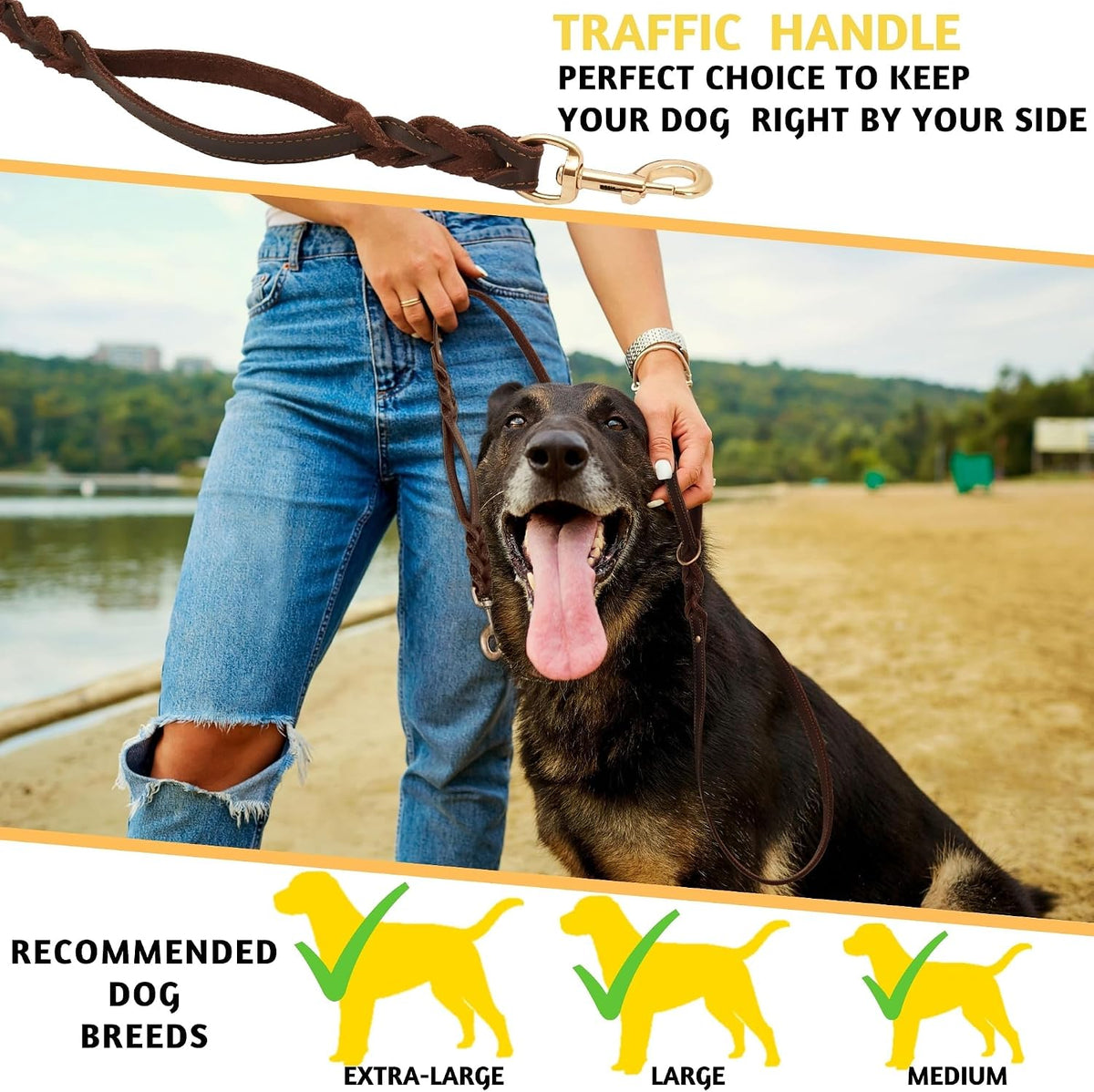 Correa de cuero para perro con asa de tráfico, 6 pies, perros