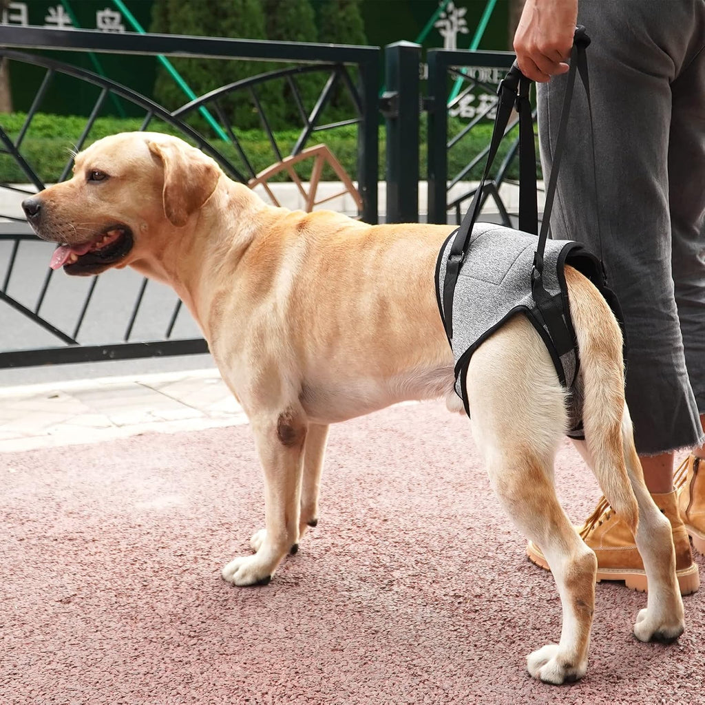 Dotoner Arnés para perros grandes, soporte para las patas traseras para ayudar a rehabilitar las extremidades traseras de perros ancianos con patas traseras débiles, discapacidades y lesiones. El arnés para perro ayuda a la recuperación de artritis ACL