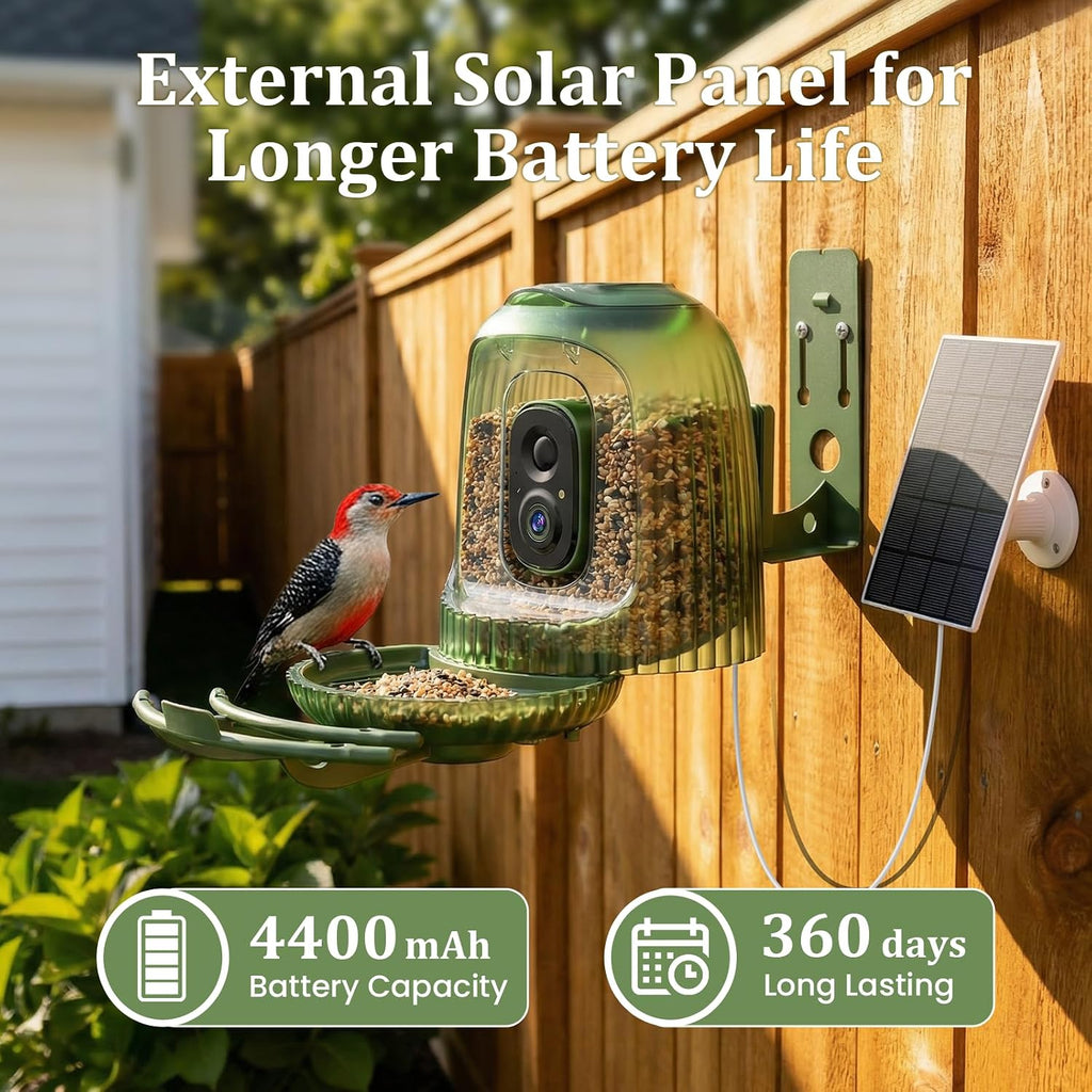 Alimentador elegante del pájaro con la cámara accionado por energía solar