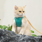 Arnés y correa para gato, a prueba de escape, suave correa ajustable para gato, transpirable, cómodo, fácil de usar, correa fácil de llevar, correa de paseo para gatos pequeños y medianos gatitos para