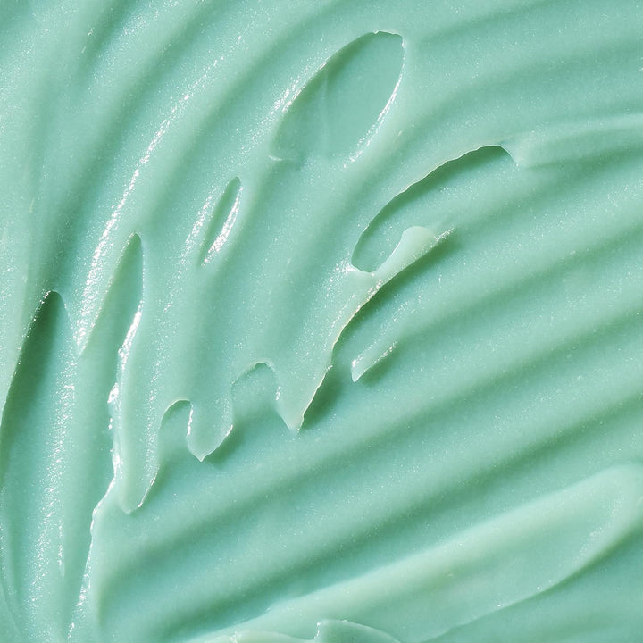 BAMBU EARTH Hidratante facial de cactus de hidratación intensa, hid...