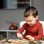 Woodtoe Juguetes de ciclo de vida, 12 temas Montessori Science Toys